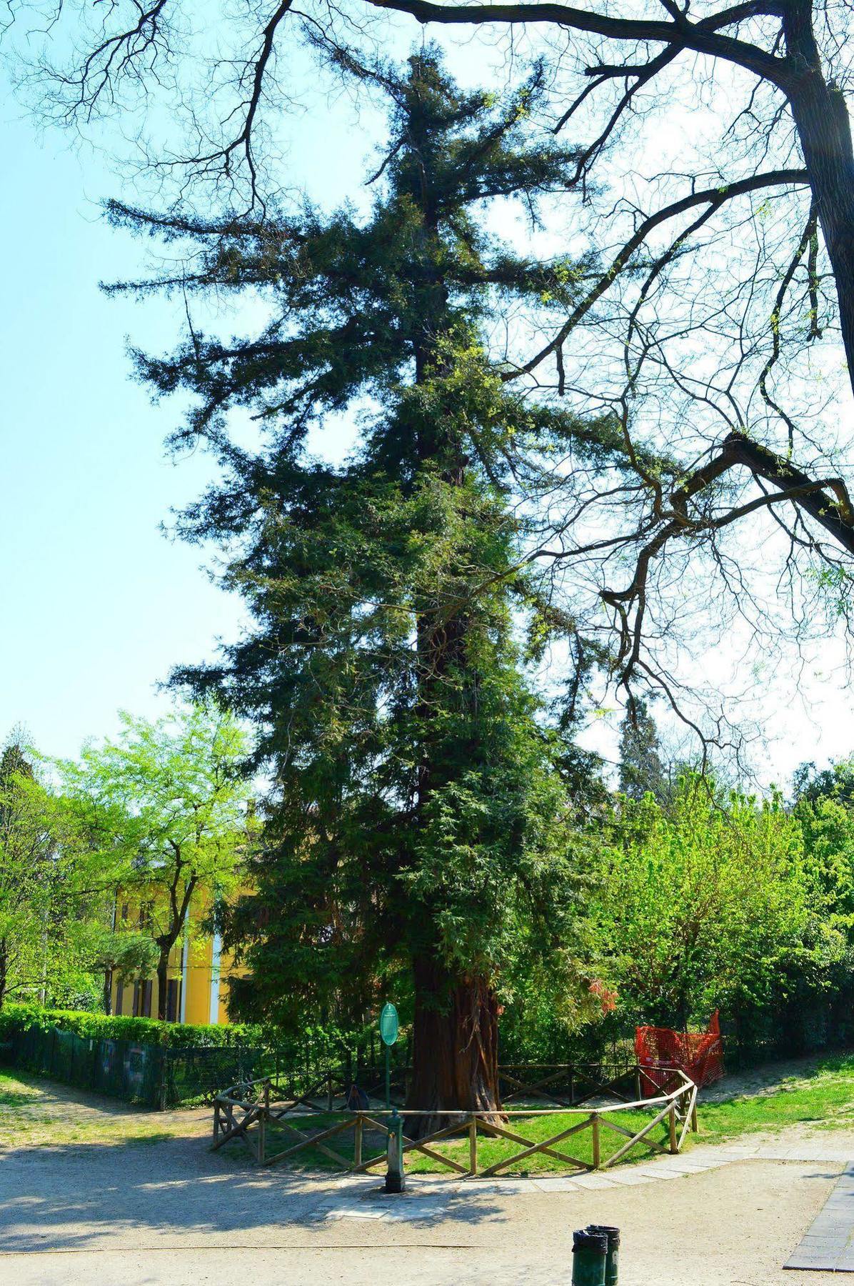 Il Giardino Nel Parco R&B Hotell Bologna Exteriör bild